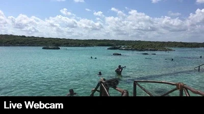 Live view of the turquoise snorkeling lagoon with the jungle in the background.