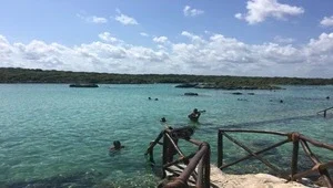 Live view of the turquoise snorkeling lagoon with the jungle in the background.