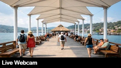 Live view of the main pier as people come and go and boats bring in their catch.